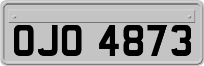 OJO4873