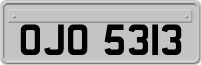 OJO5313