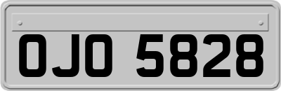 OJO5828