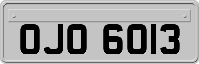 OJO6013