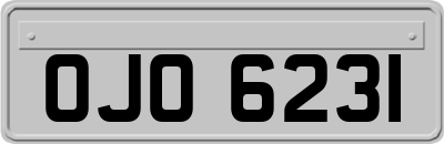 OJO6231