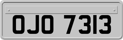 OJO7313