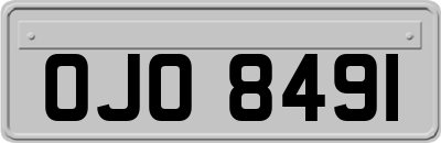 OJO8491