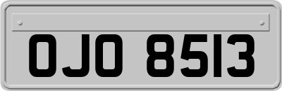 OJO8513