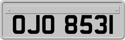 OJO8531