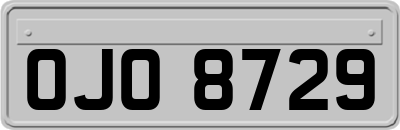 OJO8729
