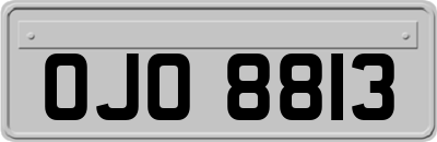 OJO8813