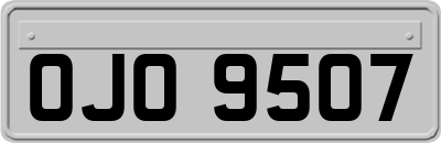 OJO9507