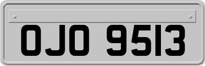 OJO9513