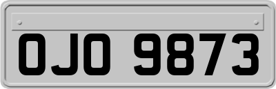 OJO9873