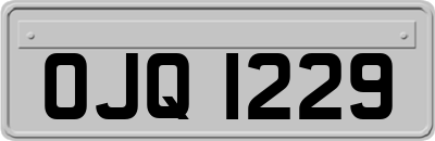 OJQ1229