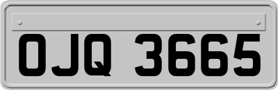 OJQ3665