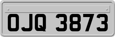 OJQ3873