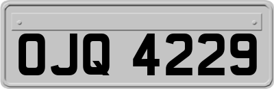 OJQ4229