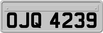 OJQ4239