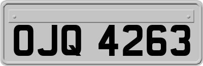 OJQ4263