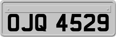 OJQ4529