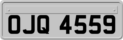 OJQ4559