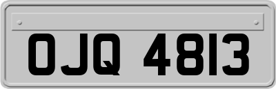 OJQ4813