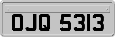 OJQ5313
