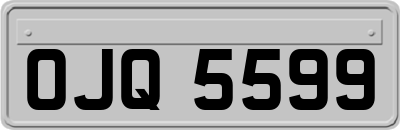 OJQ5599