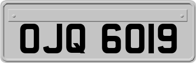 OJQ6019