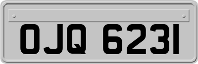 OJQ6231