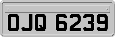 OJQ6239