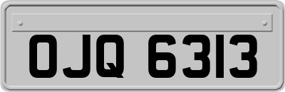 OJQ6313