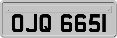 OJQ6651
