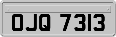 OJQ7313