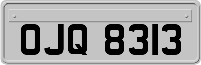 OJQ8313