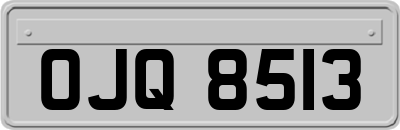 OJQ8513