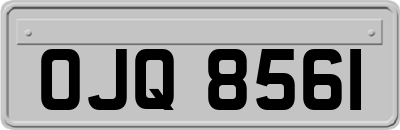 OJQ8561
