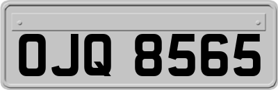 OJQ8565