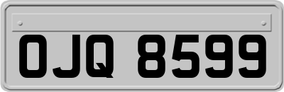 OJQ8599