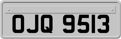 OJQ9513