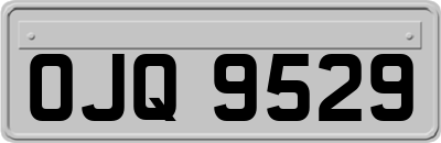 OJQ9529