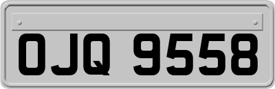 OJQ9558