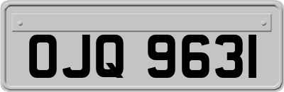 OJQ9631