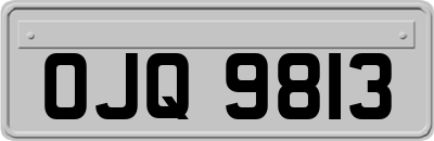 OJQ9813