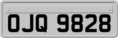 OJQ9828