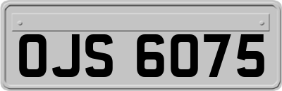 OJS6075