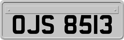OJS8513