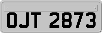 OJT2873