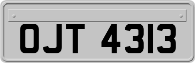 OJT4313