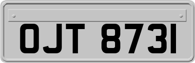OJT8731