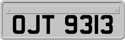 OJT9313