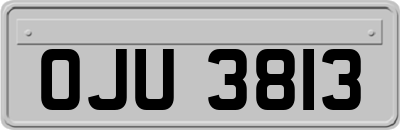 OJU3813