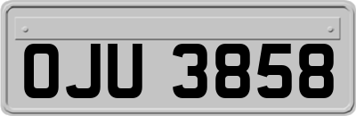 OJU3858